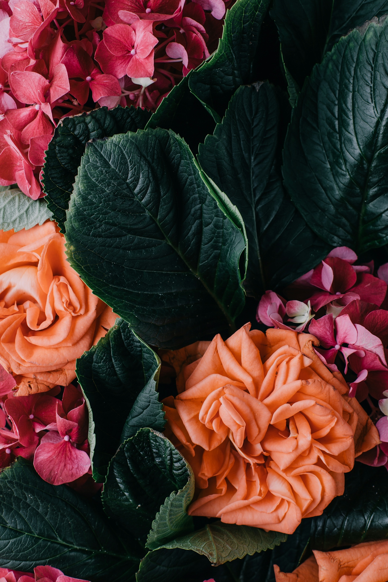 Midnight Garden Bloom