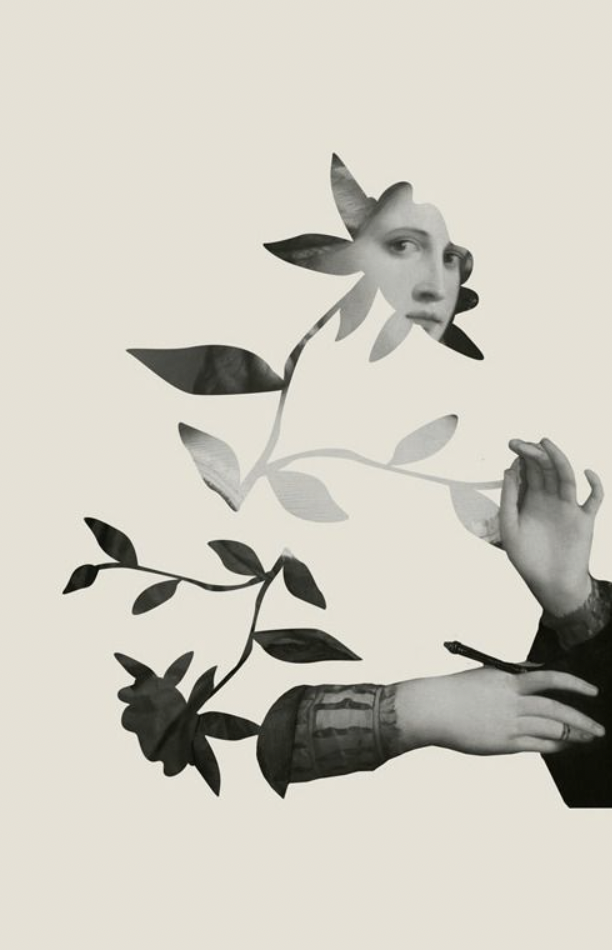 NOSIE's Garden of Dreams