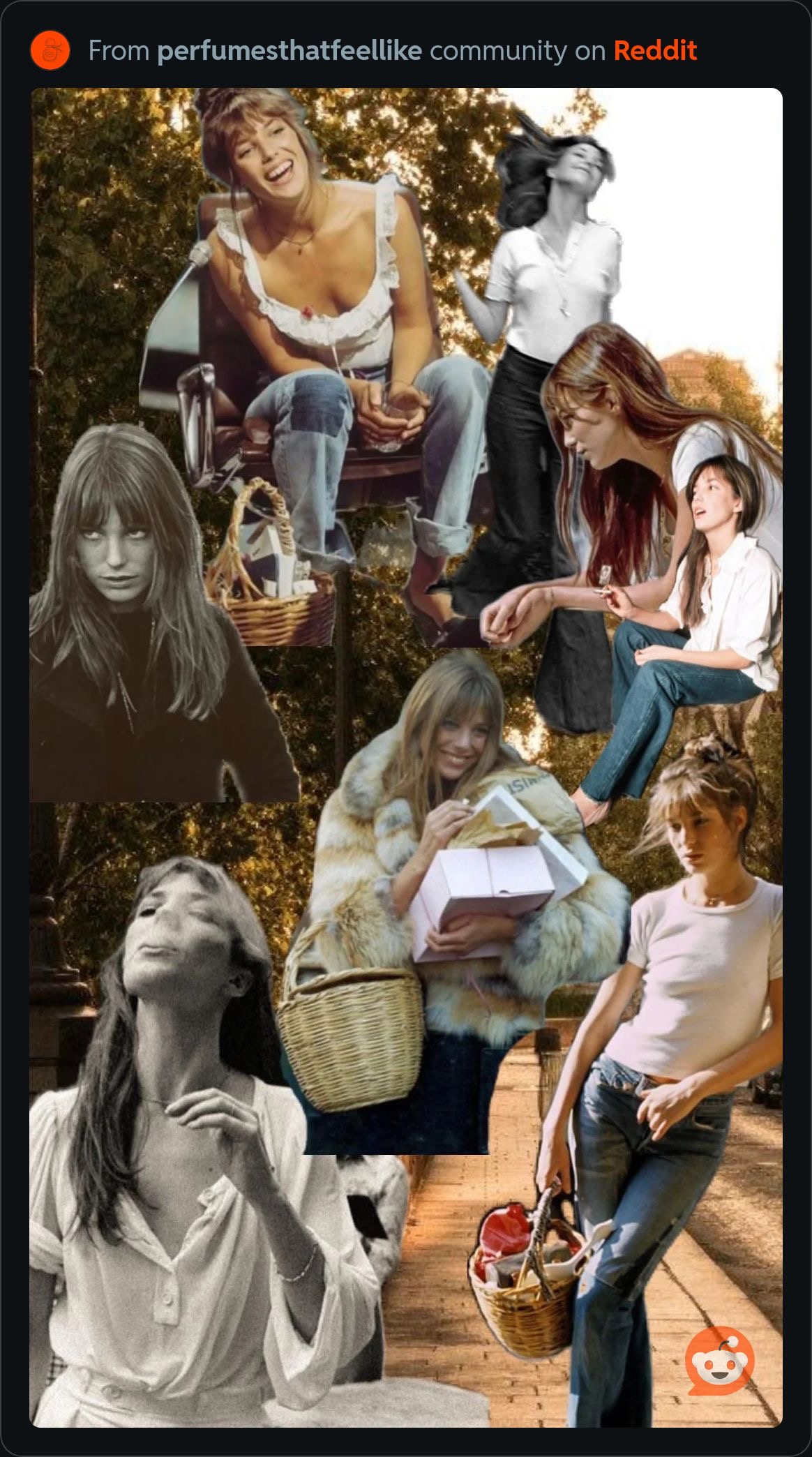 Birkin's Natural Chic