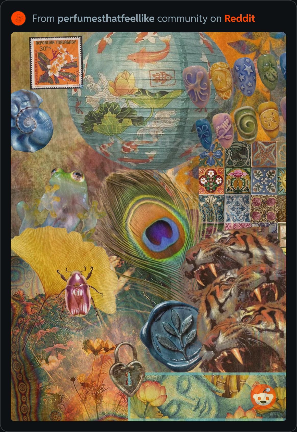 Tropical Oasis Dreams