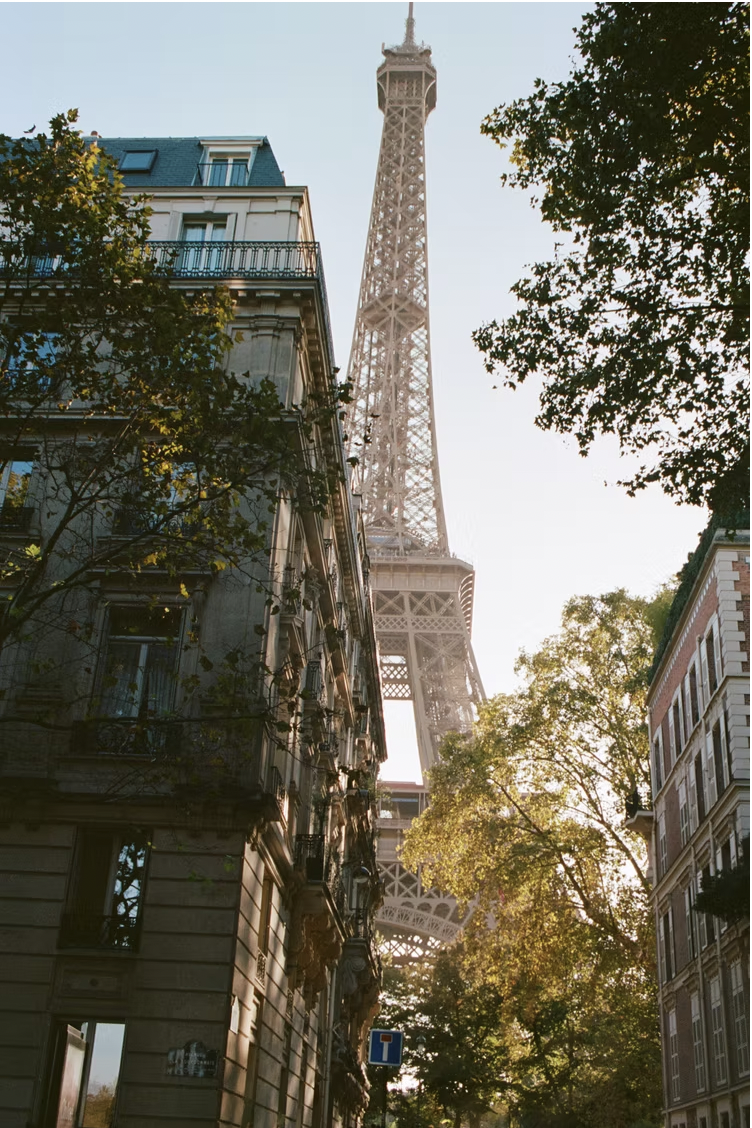 Seasonal Reverie: City to Forest