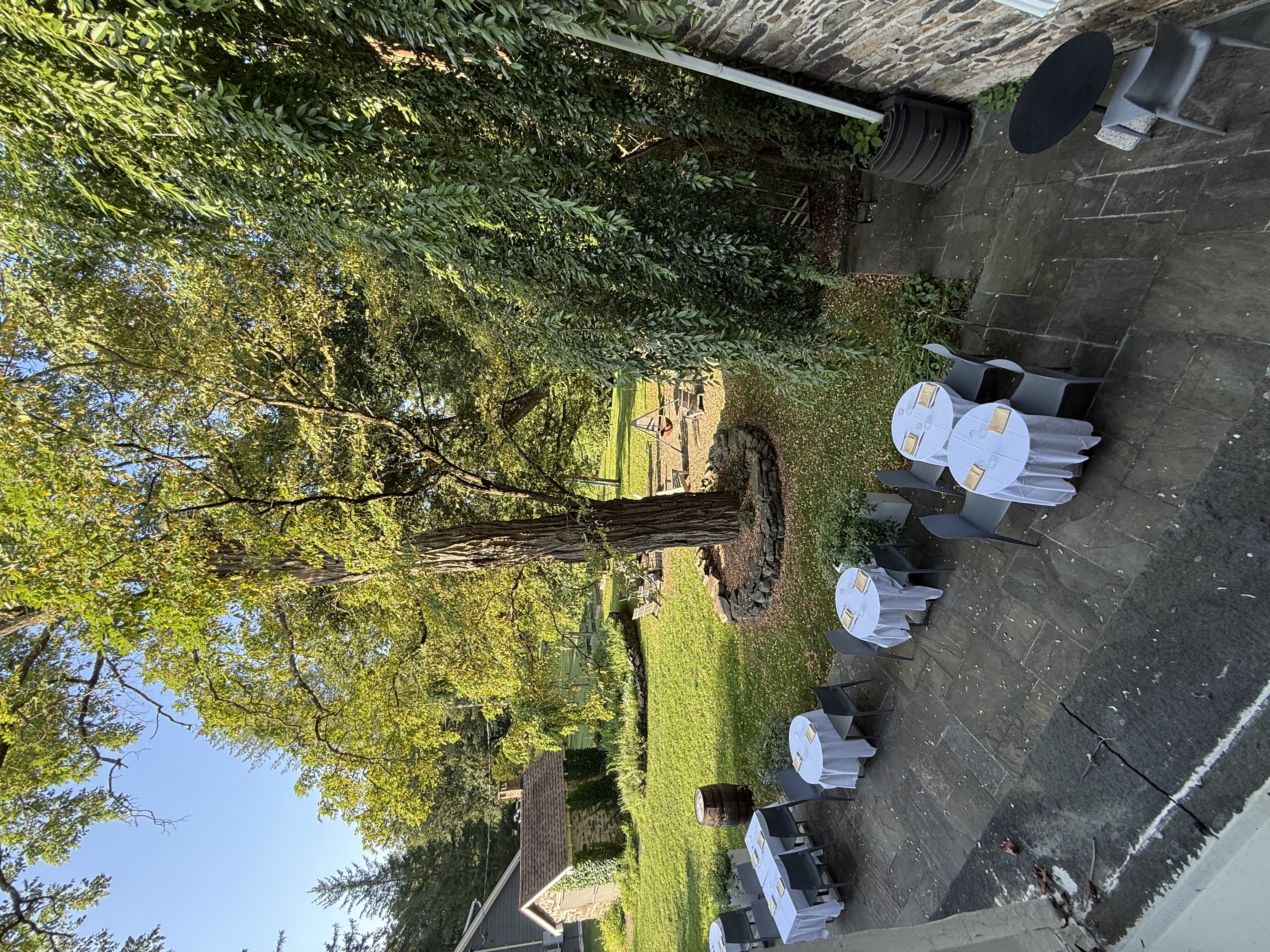 Verdant Calm & Morning Rituals