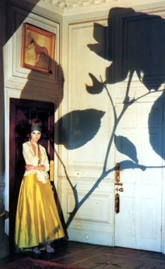 Shadowed Rose & Fated Hearts