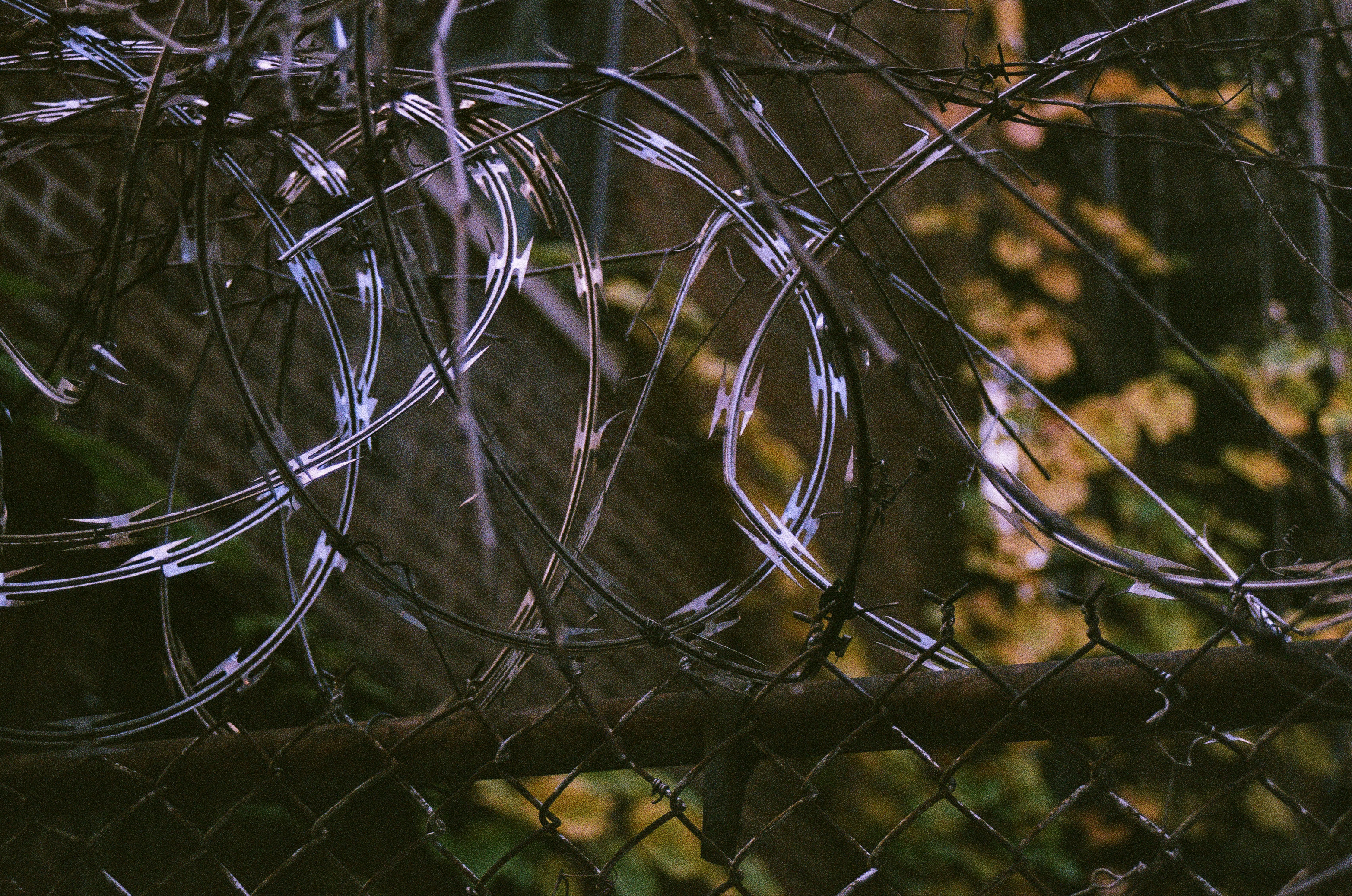 Urban Grit & Fading Light