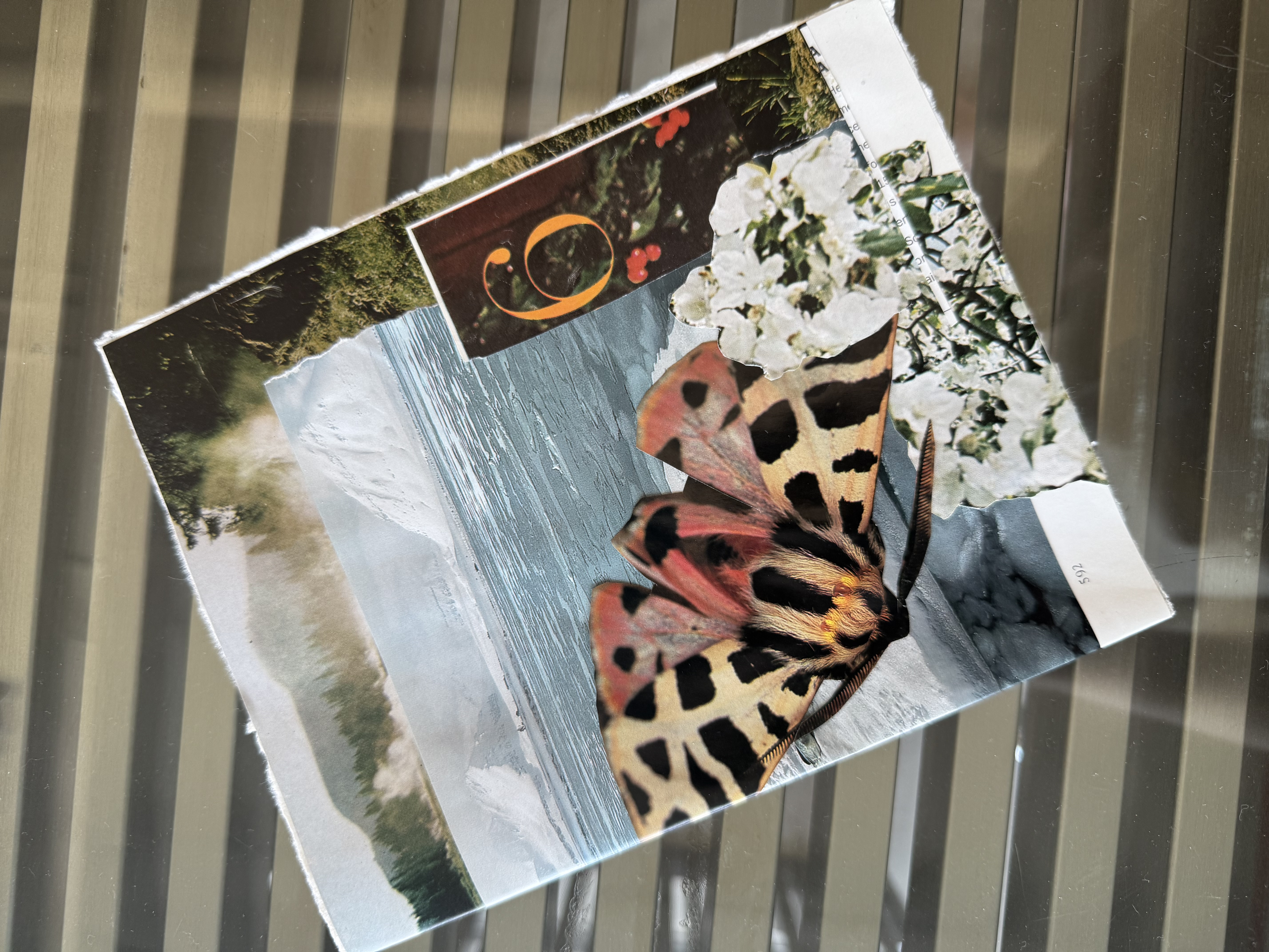 Icy Peaks, Fragile Wings