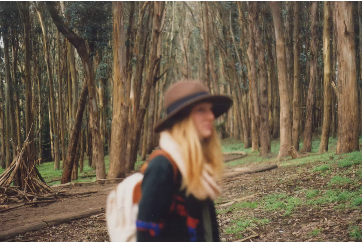 Whispers of the Woodland