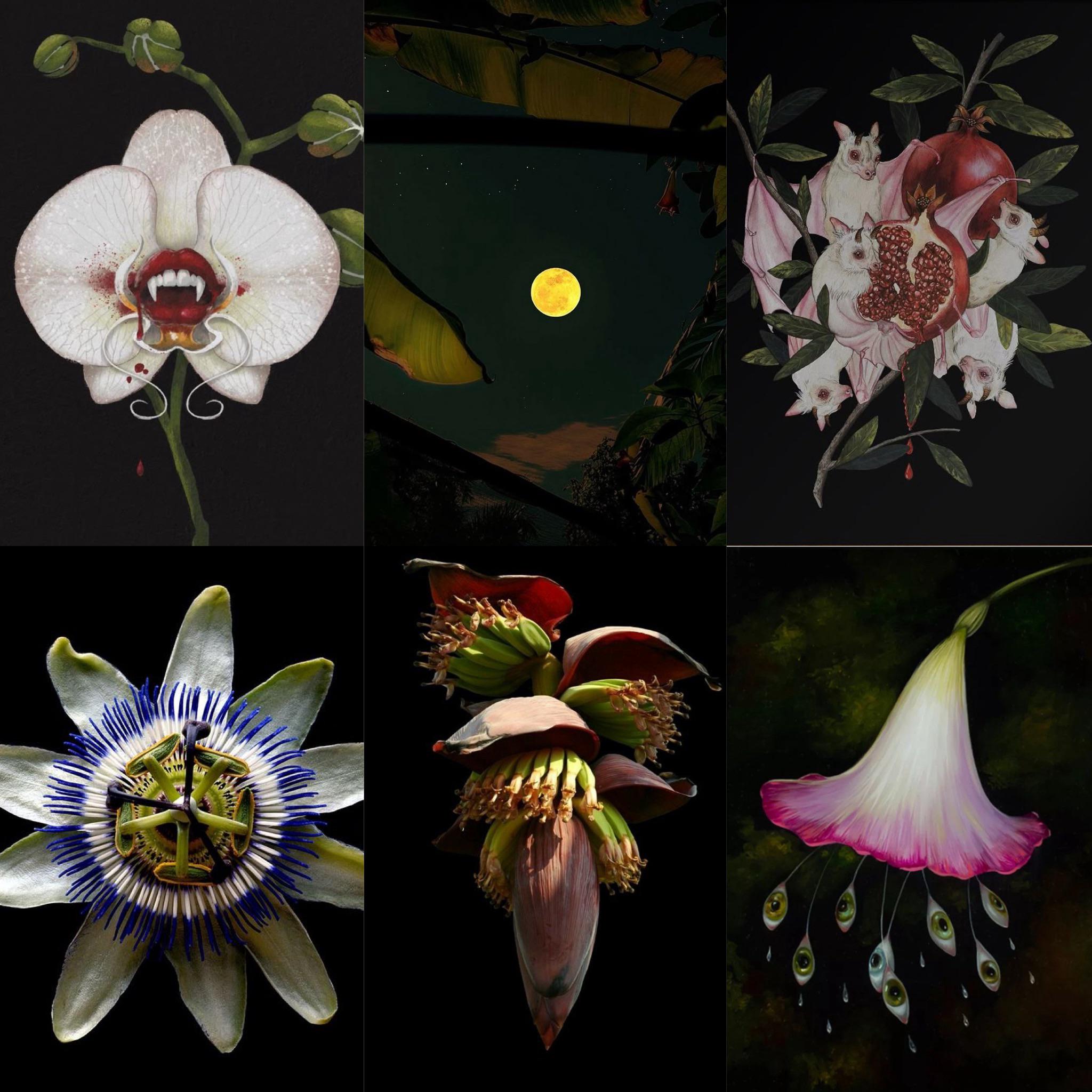 Midnight Blossom's Embrace