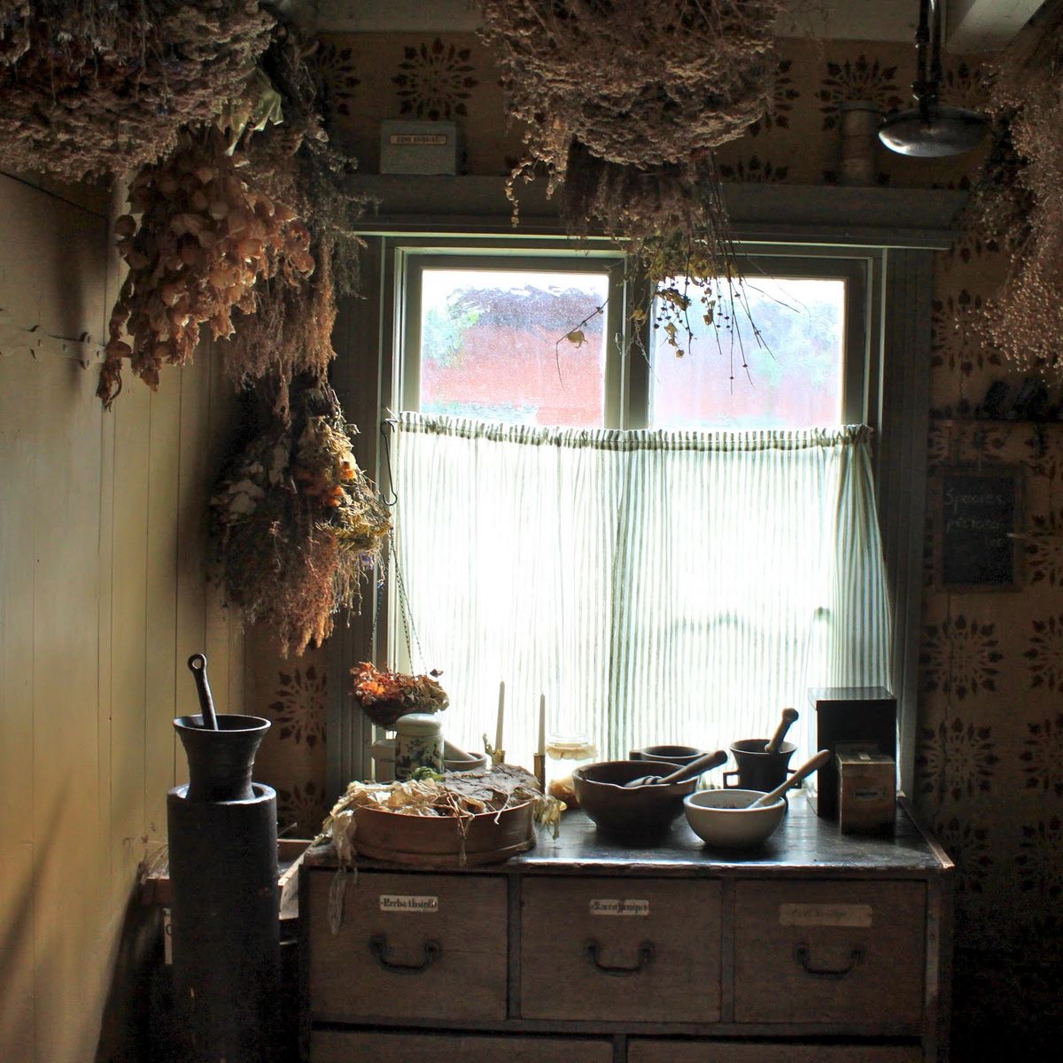 Baba Yaga's Secret Herbarium