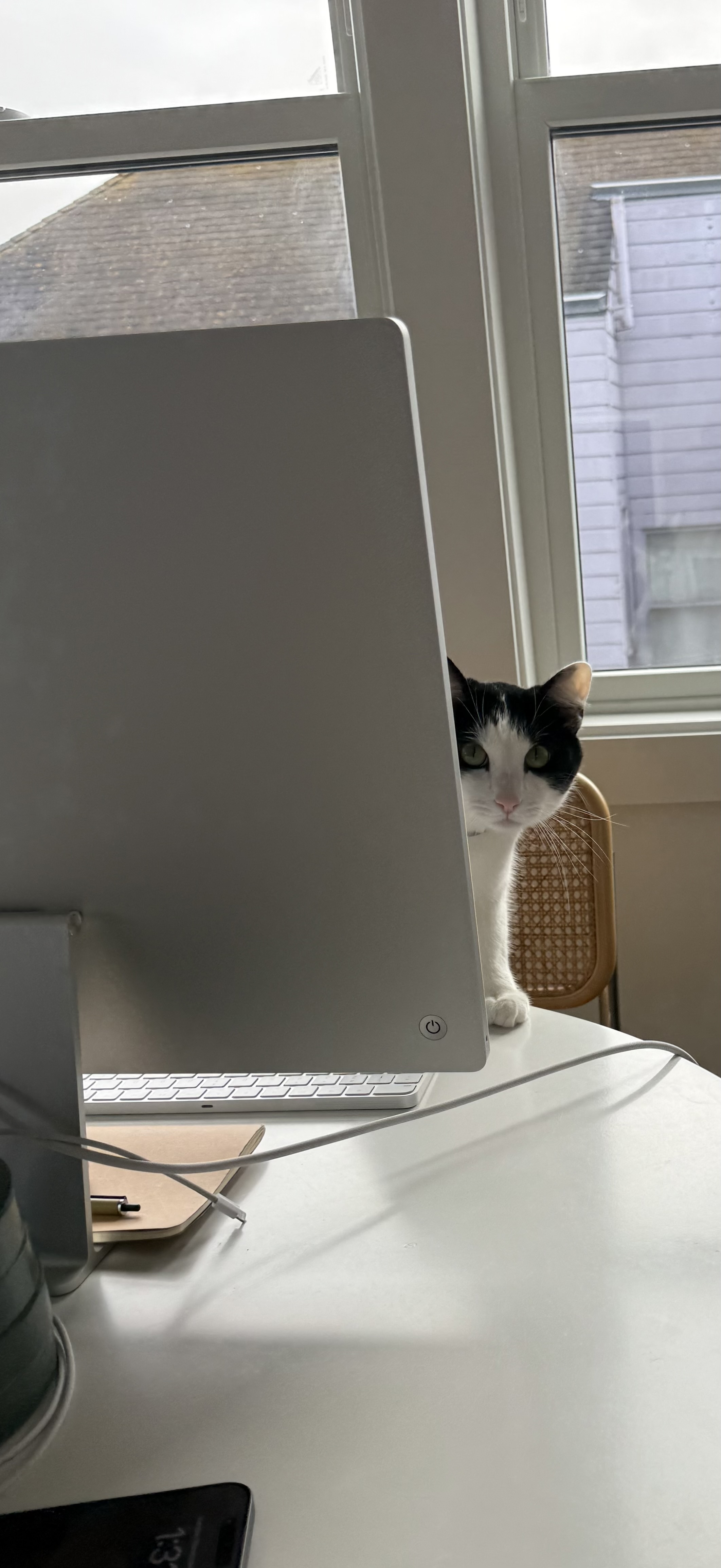 Sunny Naps & Curious Glimpses