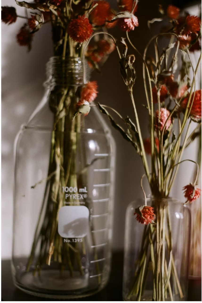 Whispers of Nostalgia